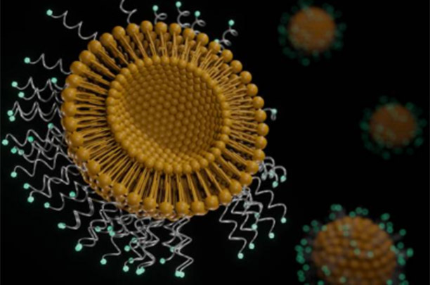 Evaluating Market Potential and Competitive Dynamics in Lipid Nanoparticles (LNP) CDMO Services