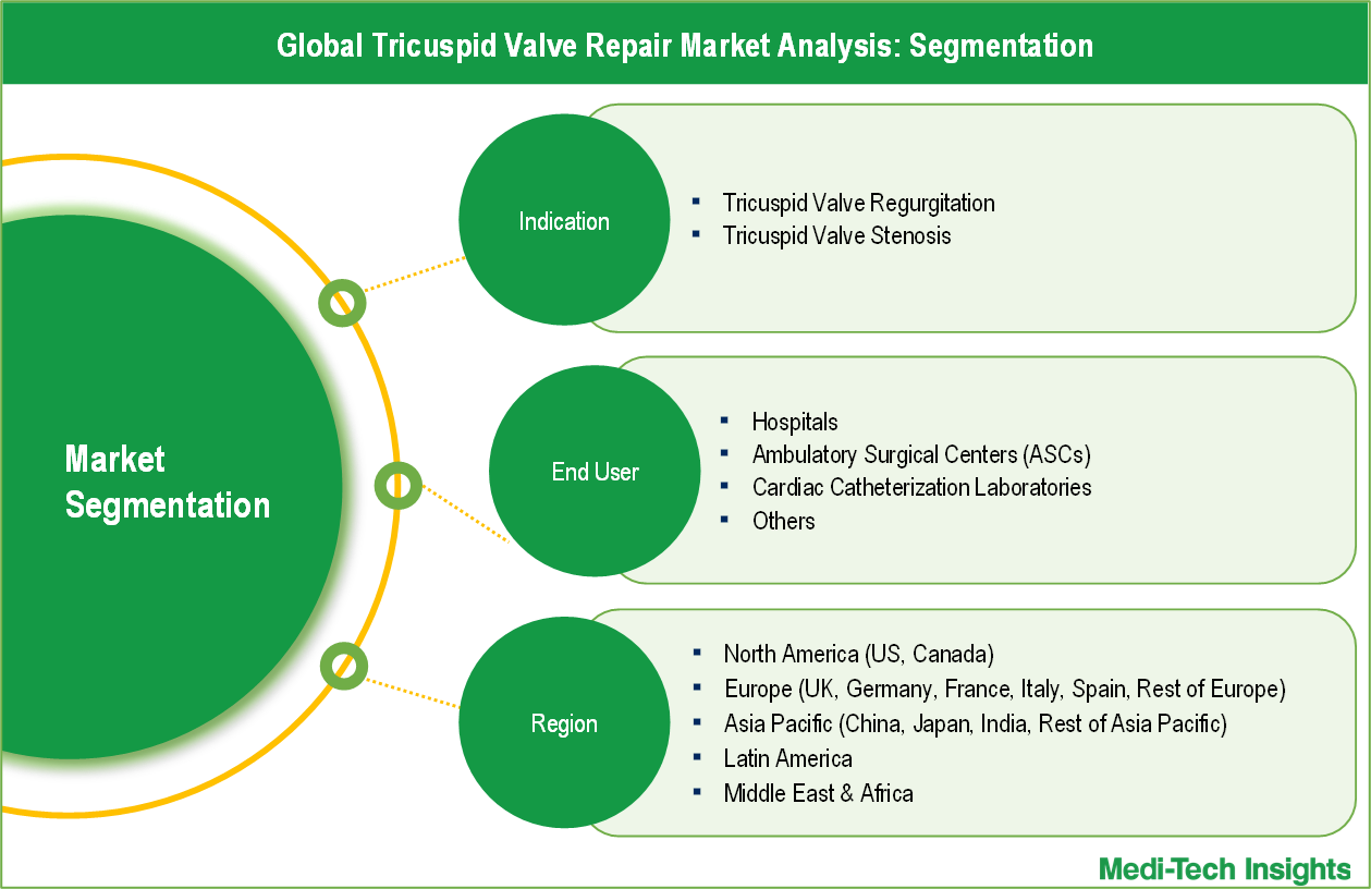 Tricuspid Valve Repair Market Segmention Tricuspid Valve Repair Market Segmention