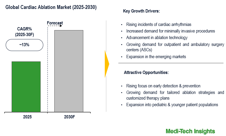 Cardiac Ablation Market Cardiac Ablation Market