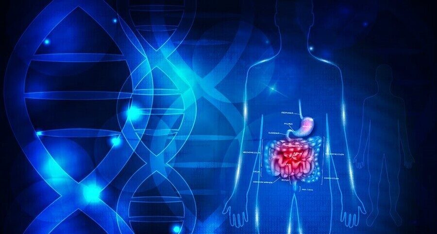 Gastrointestinal Devices MedTech market