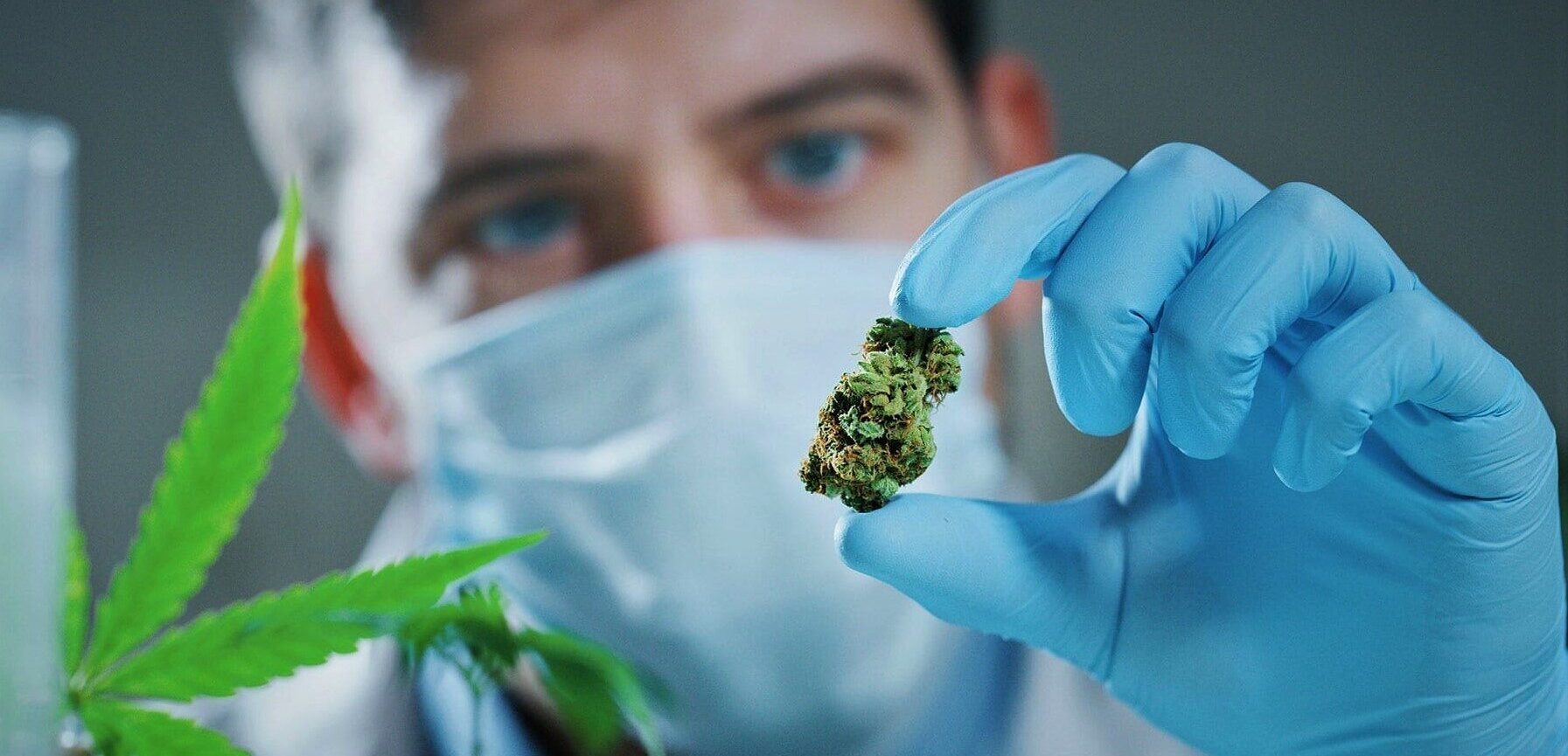 Cannabis Testing Market Size, Share, Trends and Growth Analysis 2026