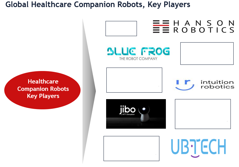 Healthcare Companion Robots Market