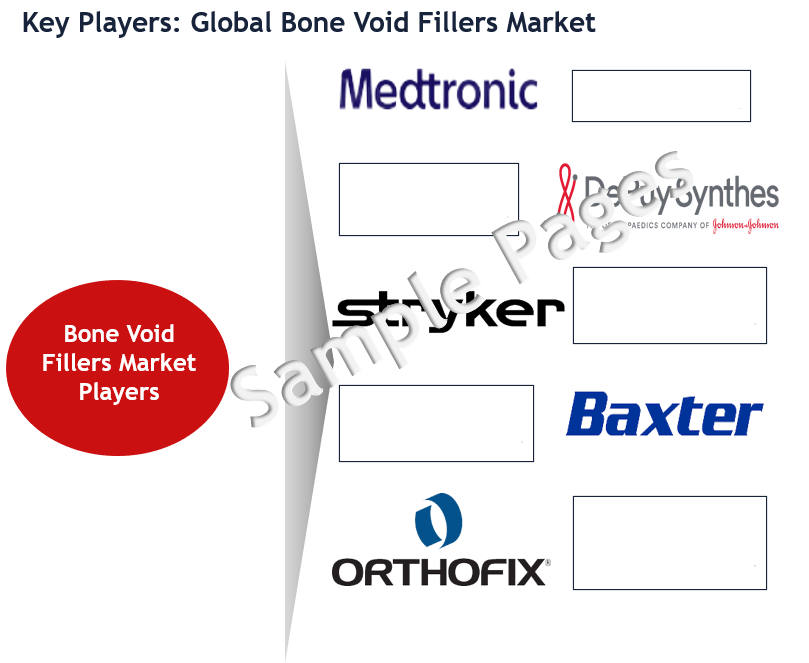 Bone Void Fillers Market