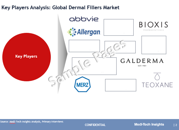 Dermal Fillers Market