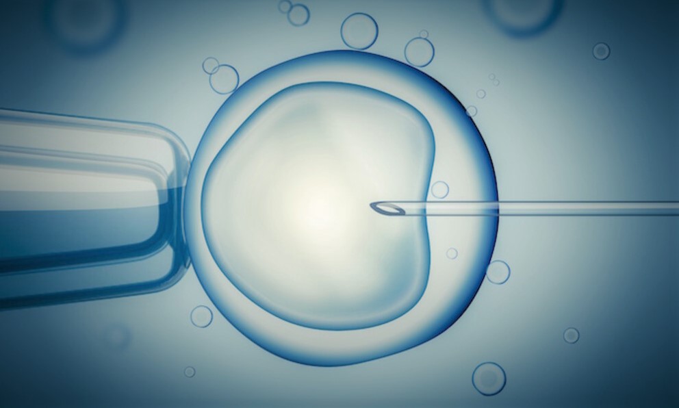 In-Vitro Fertilization (IVF) Market Size, Share, Trends, Growth & Forecasts by 2026