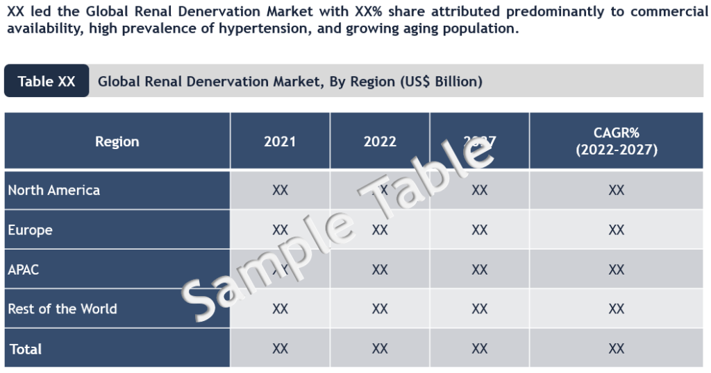 Renal Denervation Market