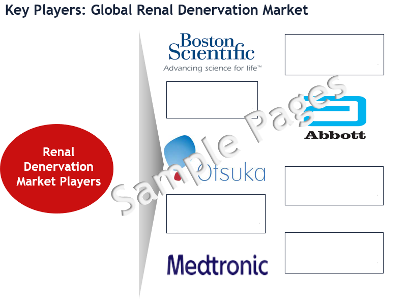 Renal Denervation Market