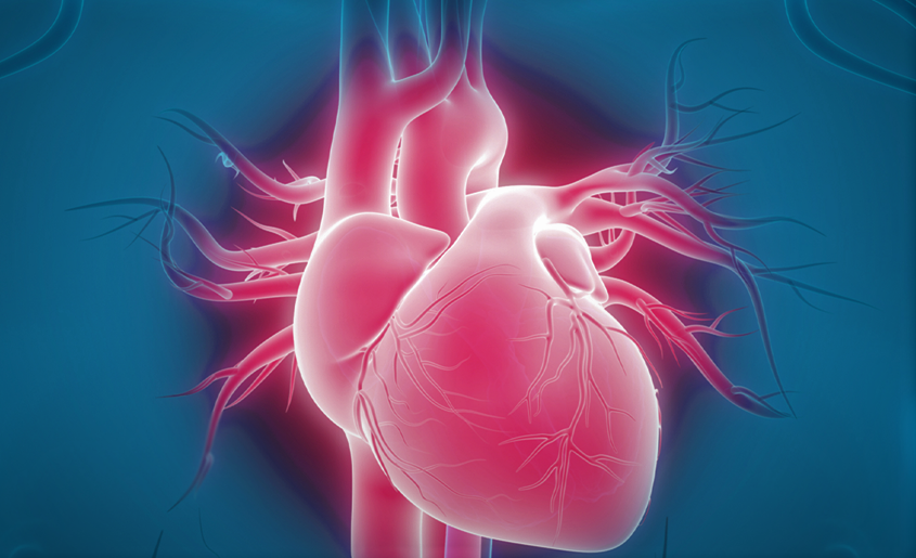 Structural Heart Devices Market Size, Share, Growth, Trends & Demands 2026