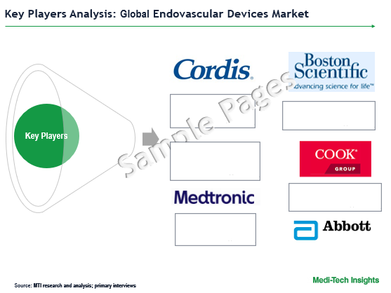 Endovascular Devices Market