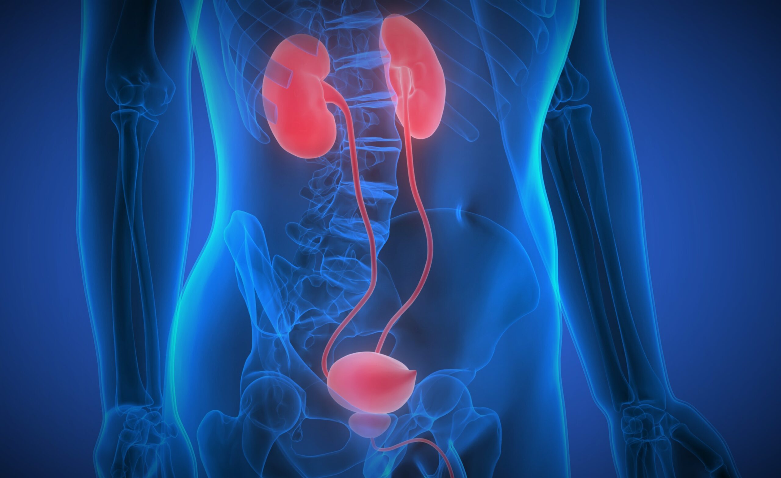 Urology and Pelvic Health Market – Growing Cases of Bladder Cancer & Kidney Stones