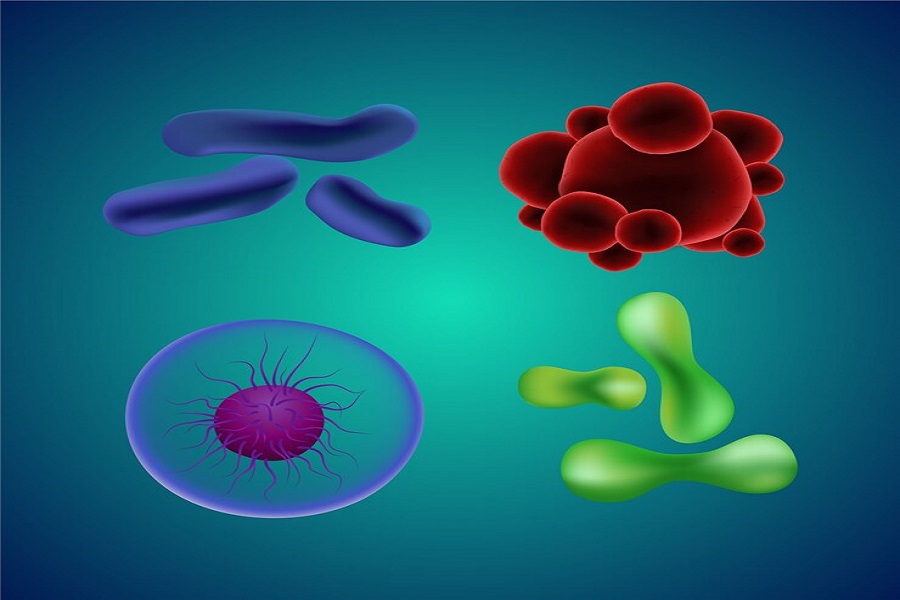 Advancements in 3D Cell Culture Market: Pioneering Applications and Market Trends from 2023 to 2027