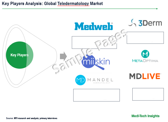 Teledermatology Market Key Company