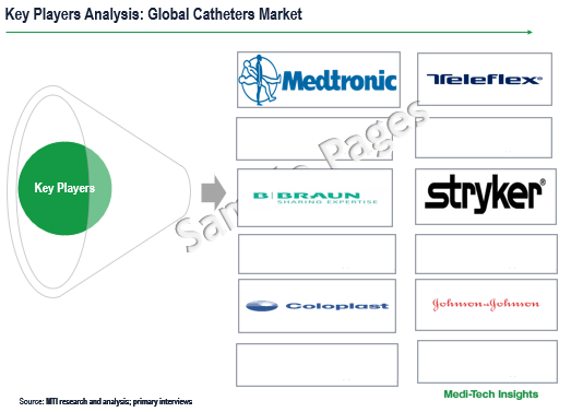 Catheters Market Sample Deliverables 2