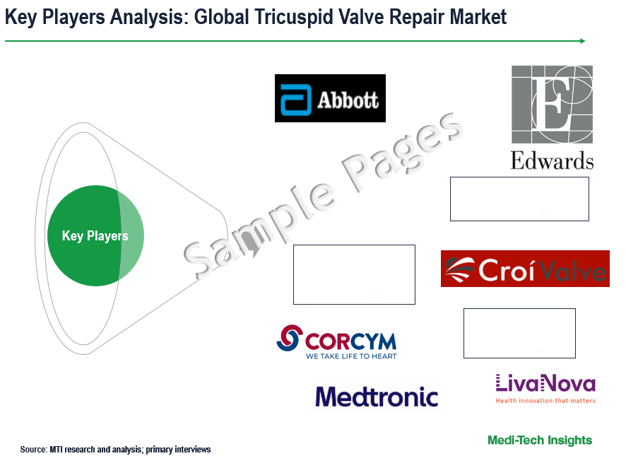 Tricuspid Valve Repair Market - Sample Deliverables