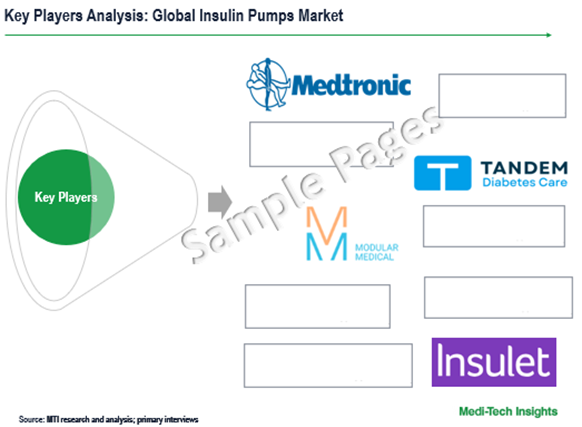 Insulin Pumps Market - Sample Deliverables