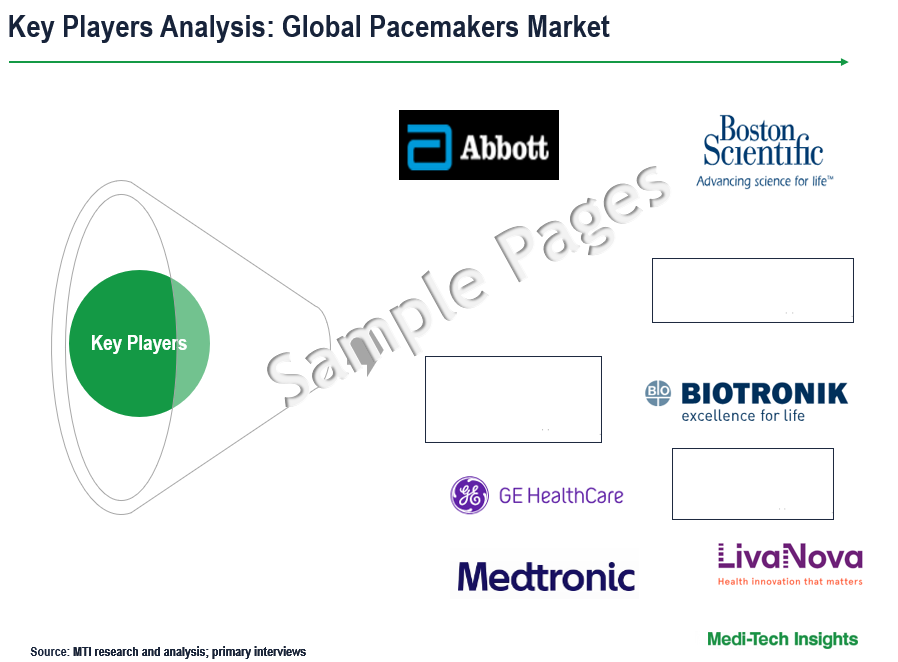 Pacemakers Market - Sample Deliverables
