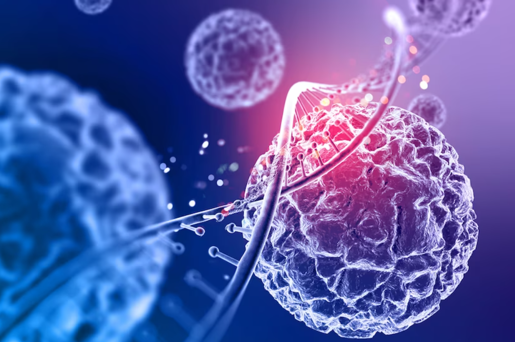 Stem Cells Market Size, Future Trends, Industry Outlook and Forecast to 2028