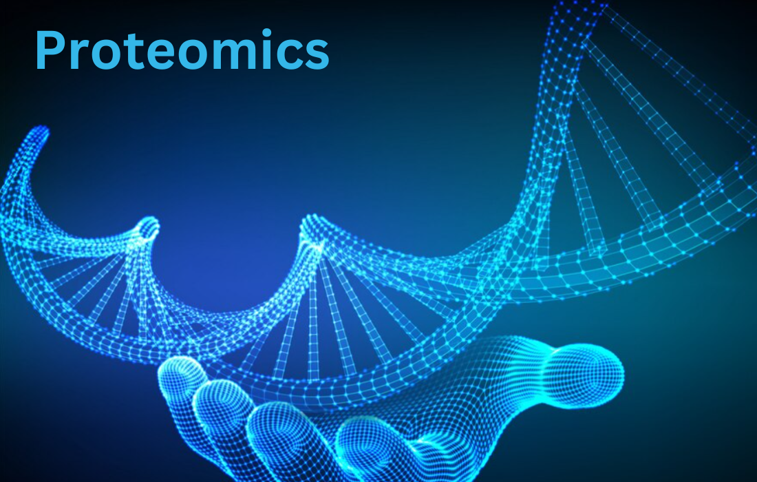 Proteomics Market is Projected to Grow at a Strong CAGR of 12–15% from 2024 to 2029 with Market Size Share and Analysis