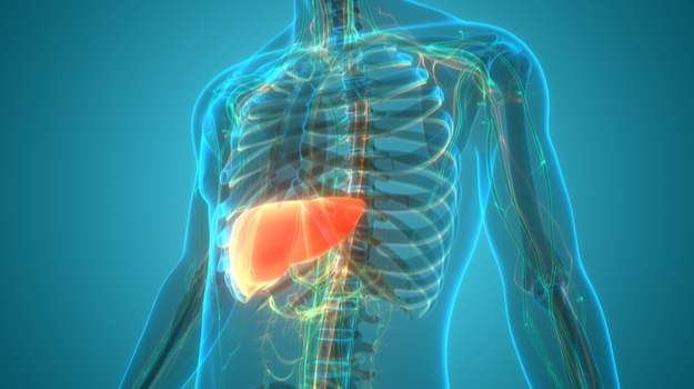 Liver Diseases Therapeutics Market Size, Share, Growth, Trends and Forecast 2024 to 2029