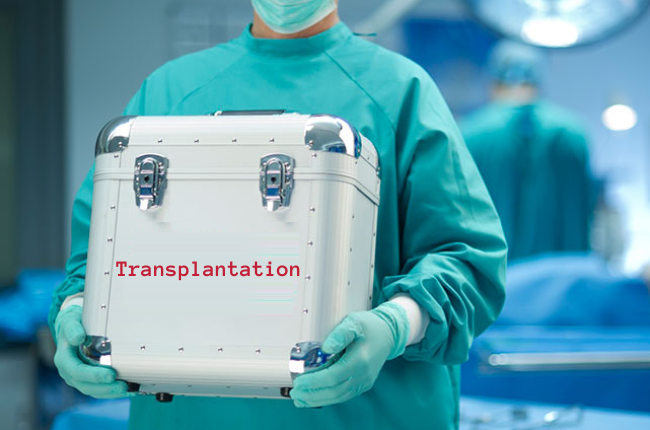 Transplantation Market Size, and Forecast to Expand Amid Technological Advancements and Growth by 2029