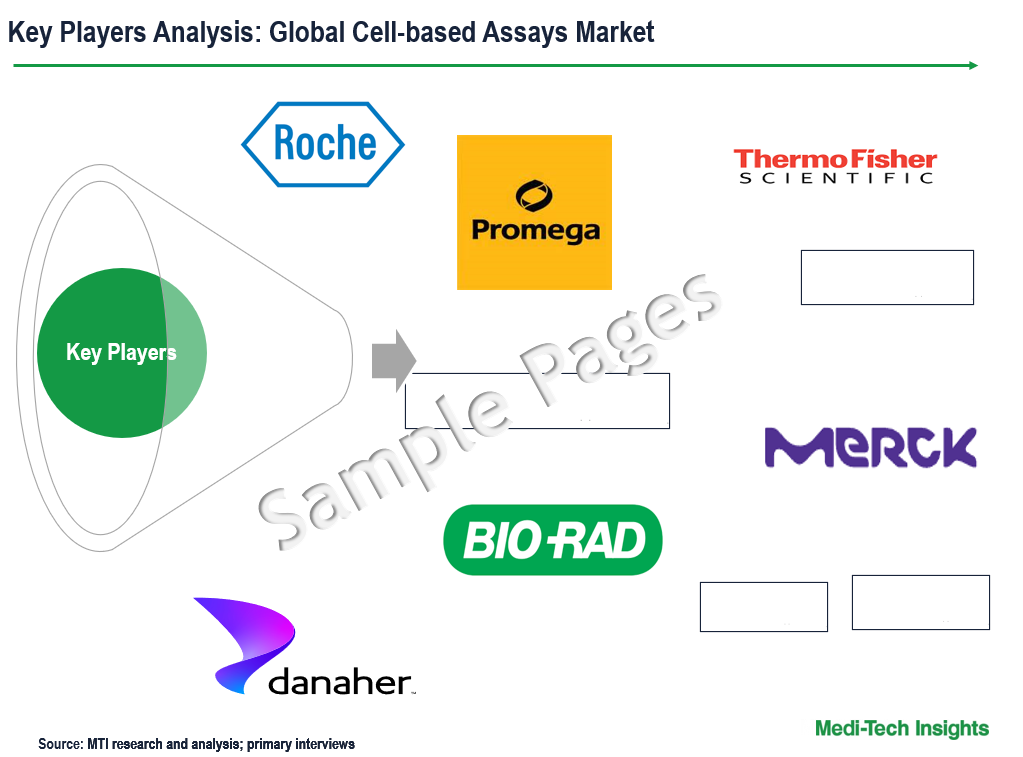 cell-based assays market - key players