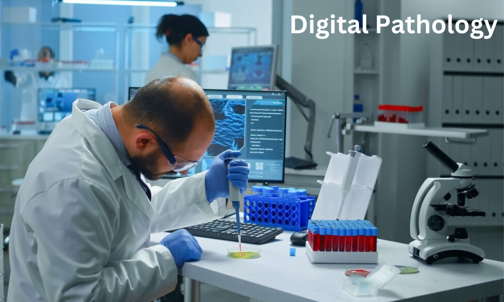 Digital Pathology Market Size Anticipates a Remarkable 10.5% Growth Rate by 2029