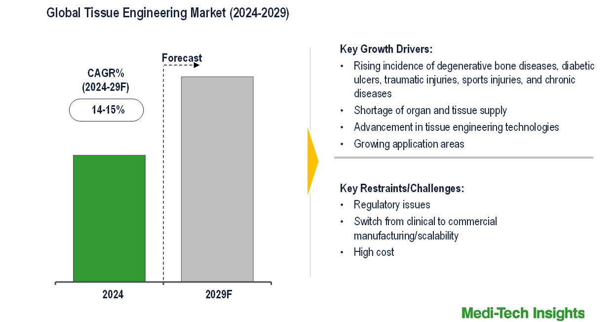 Tissue Engineering Market