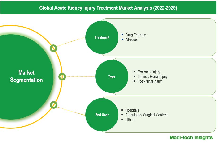 Acute Kidney Injury Treatment Market - Segmentation