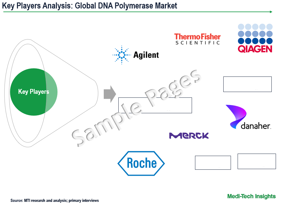 DNA Polymerase Market - Key Players