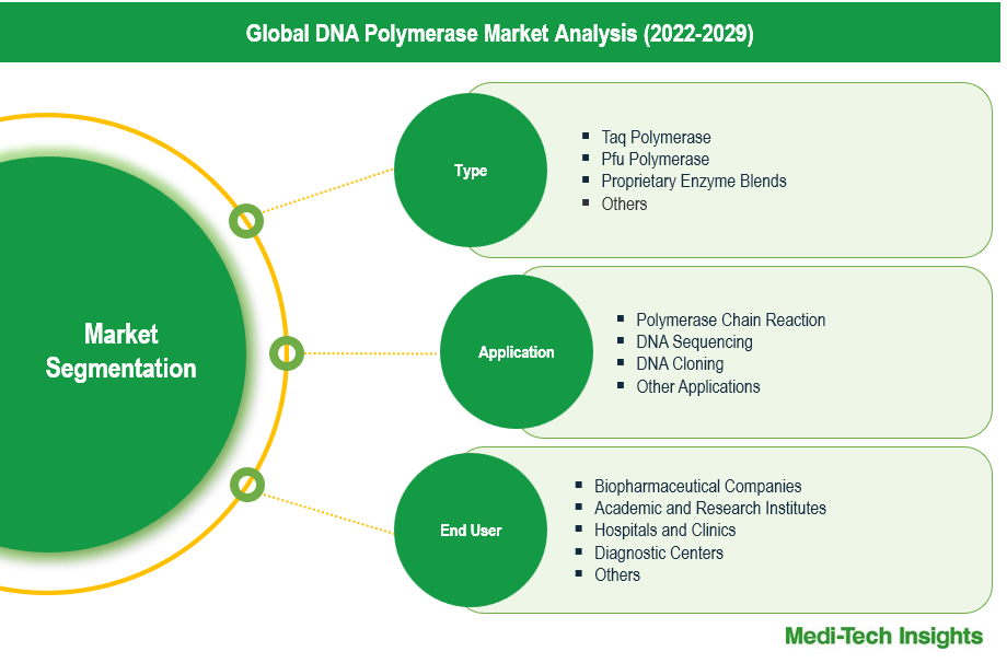 DNA Polymerase Market - Segmentation