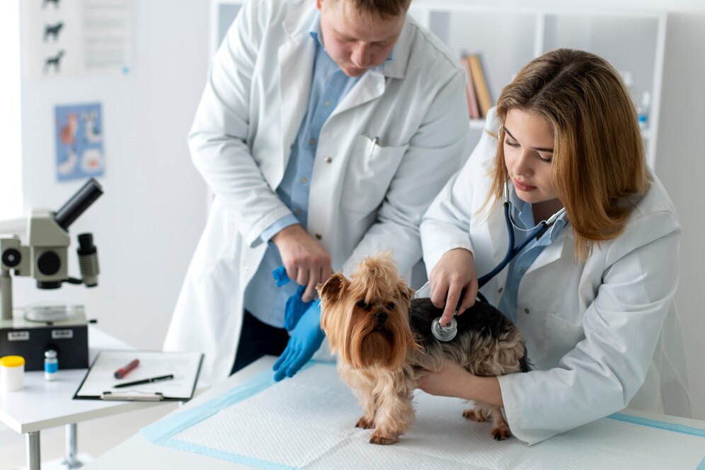 Global Veterinary Software Market