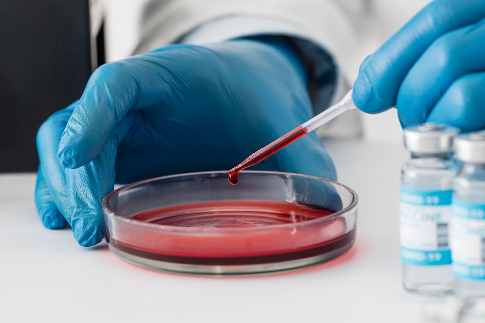 Global Cell Culture Market