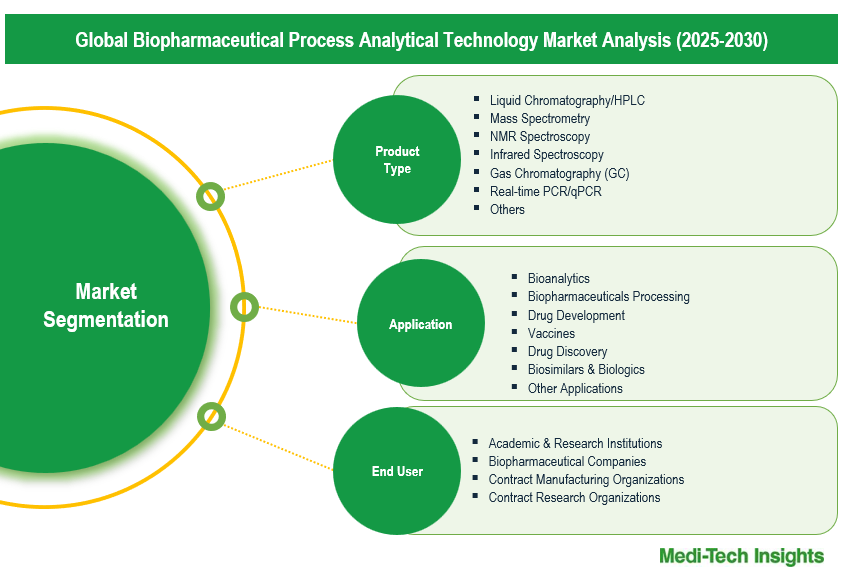 Biopharmaceutical Process Analytical Technology Market - Segmentation