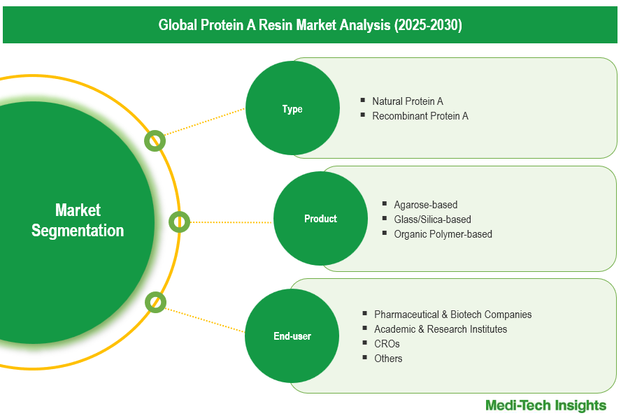Protein A Resin Market - Segmentation