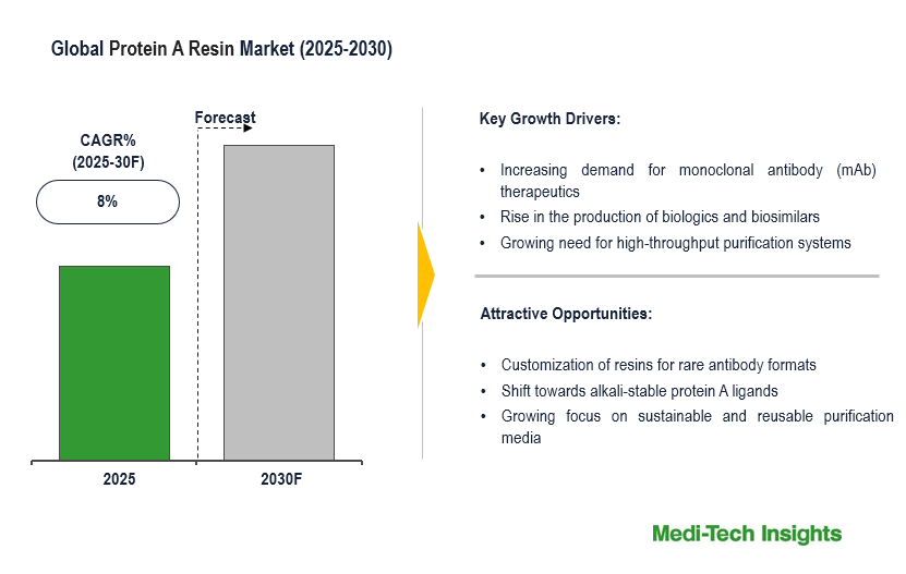 Protein A Resin Market