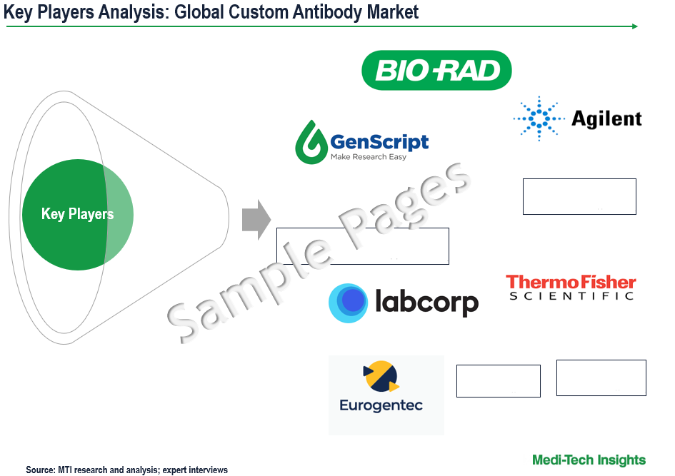 Custom Antibody Market - Key Players