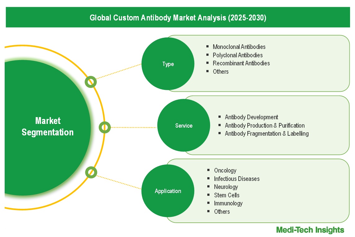 Custom Antibody Market - Segmentation