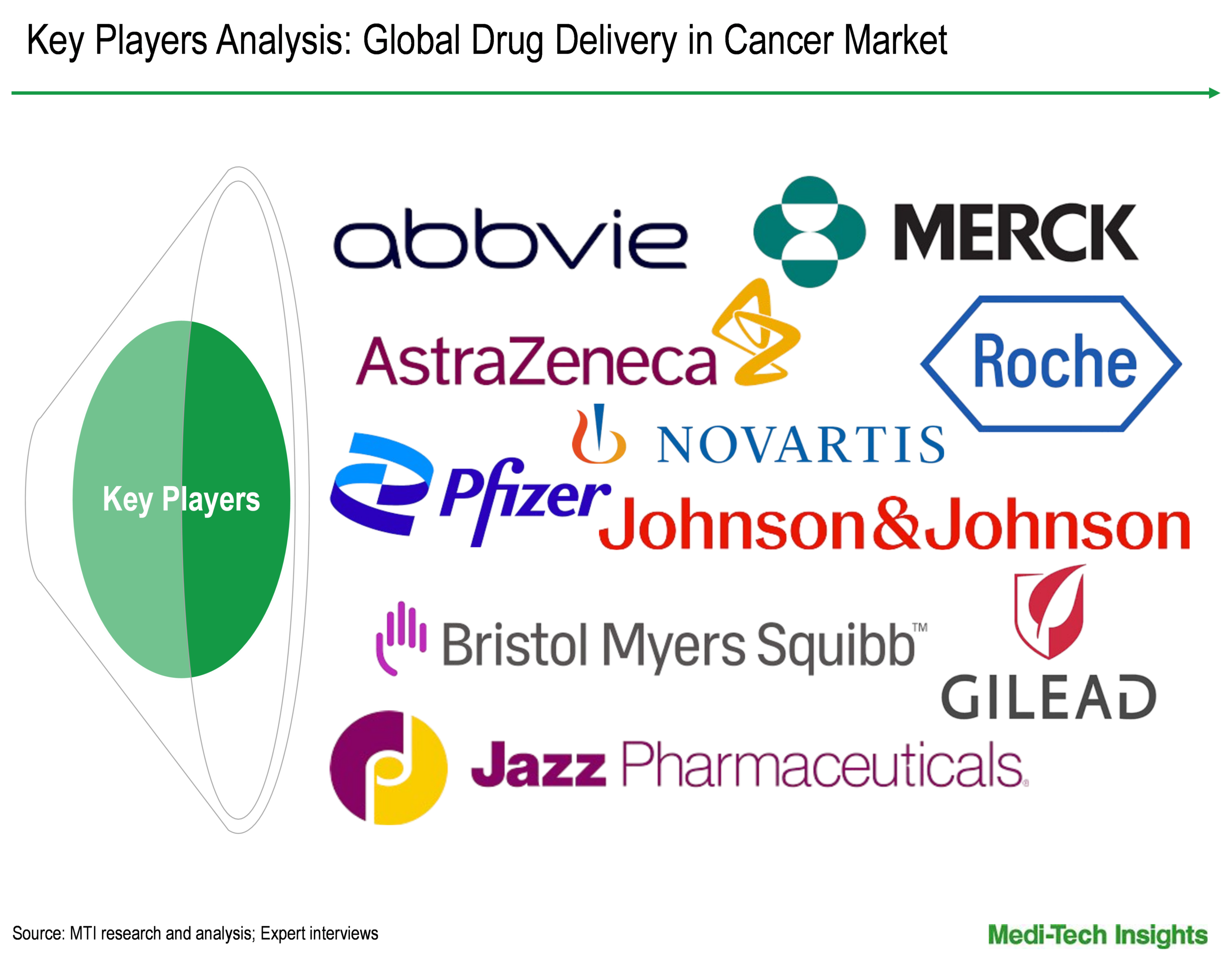 Drug Delivery in Cancer Market - Key Players