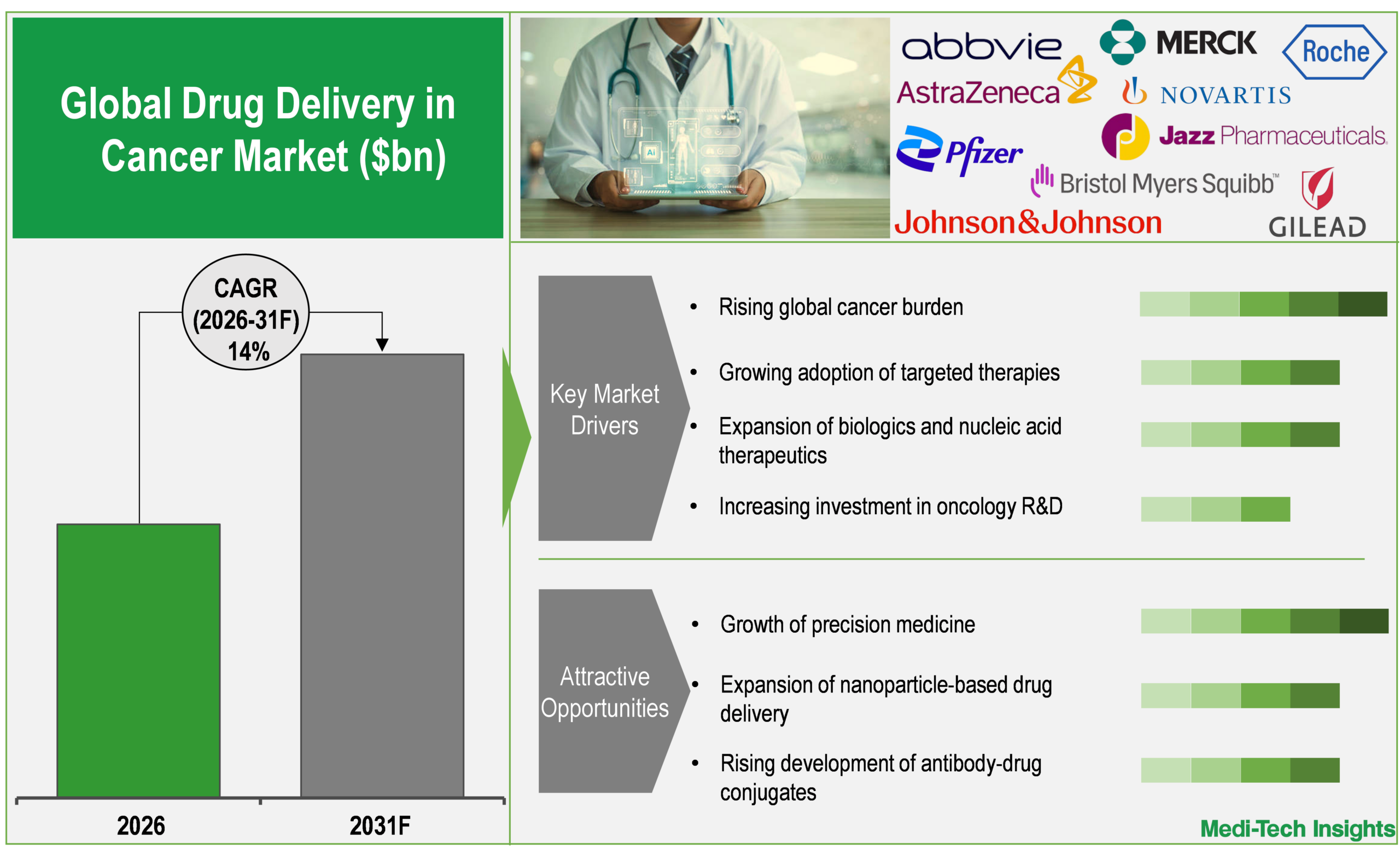 Drug Delivery in Cancer Market