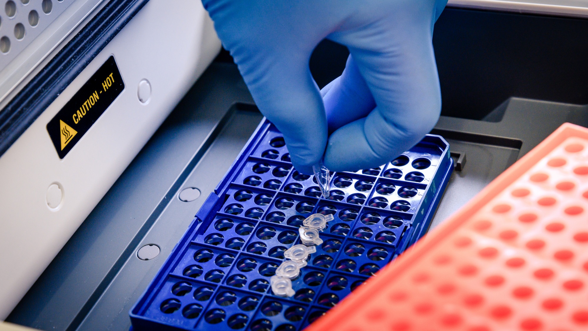 Microneedle Drug Delivery Systems Market Report